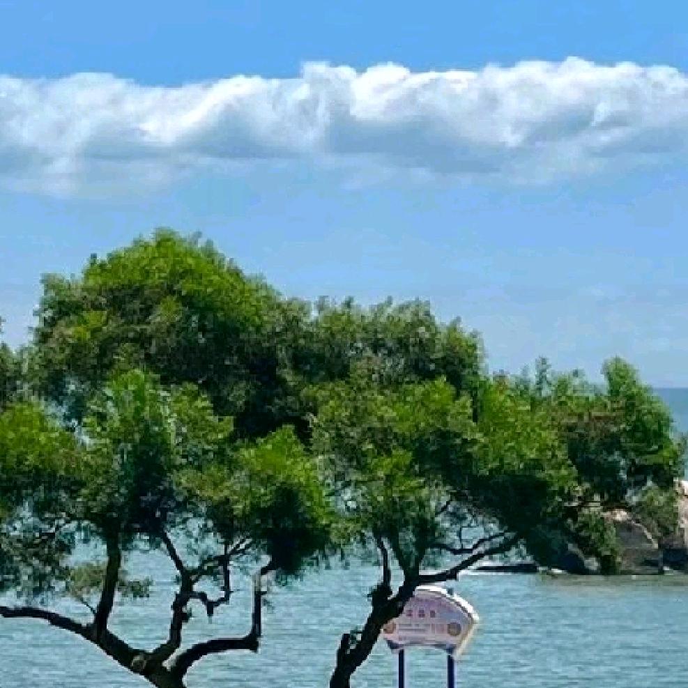 故乡的云🌹🌈🎈