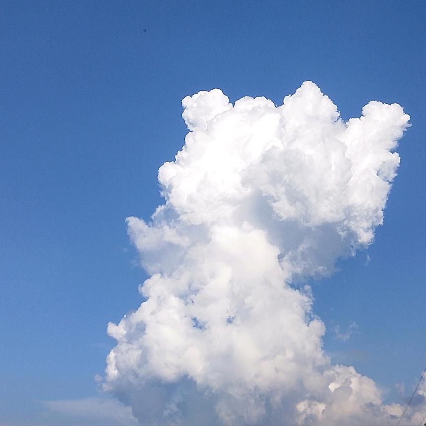 真好们在这里相遇👋斌哥