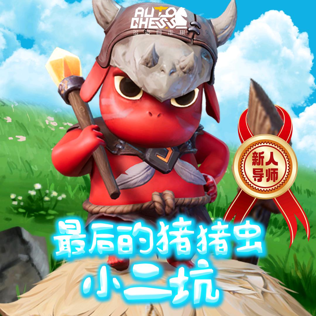 多多自走棋小二坑