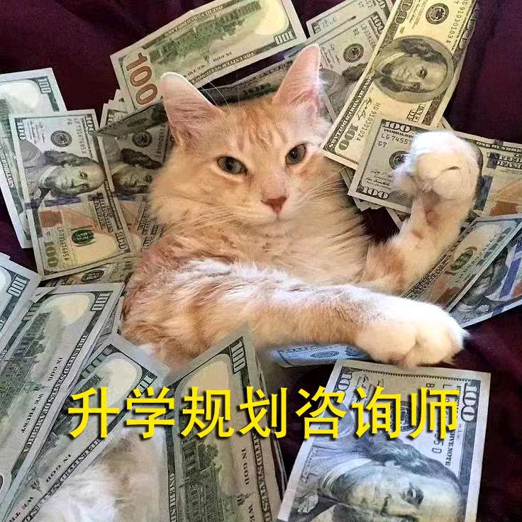 升学指导李老师