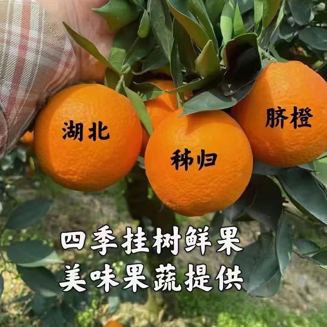 淇哥友橙生鲜店