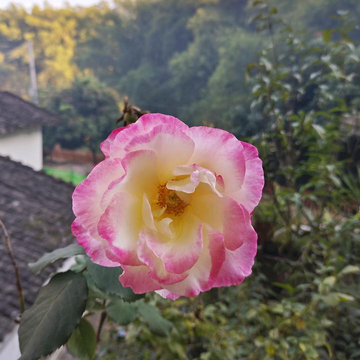 相识也是缘分