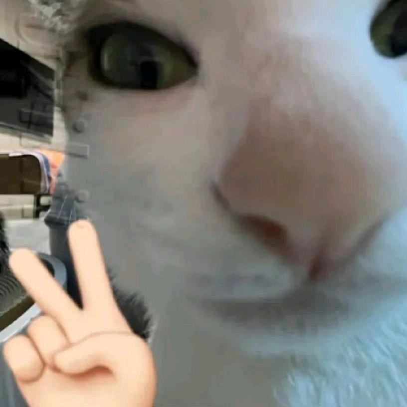 谁拉扯DNA🧬🧬