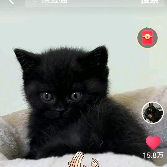 我是我👗用户37331857