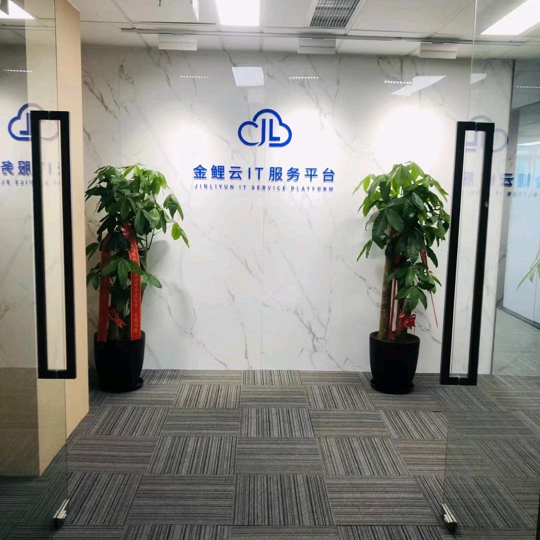 金鲤云IT服务平台