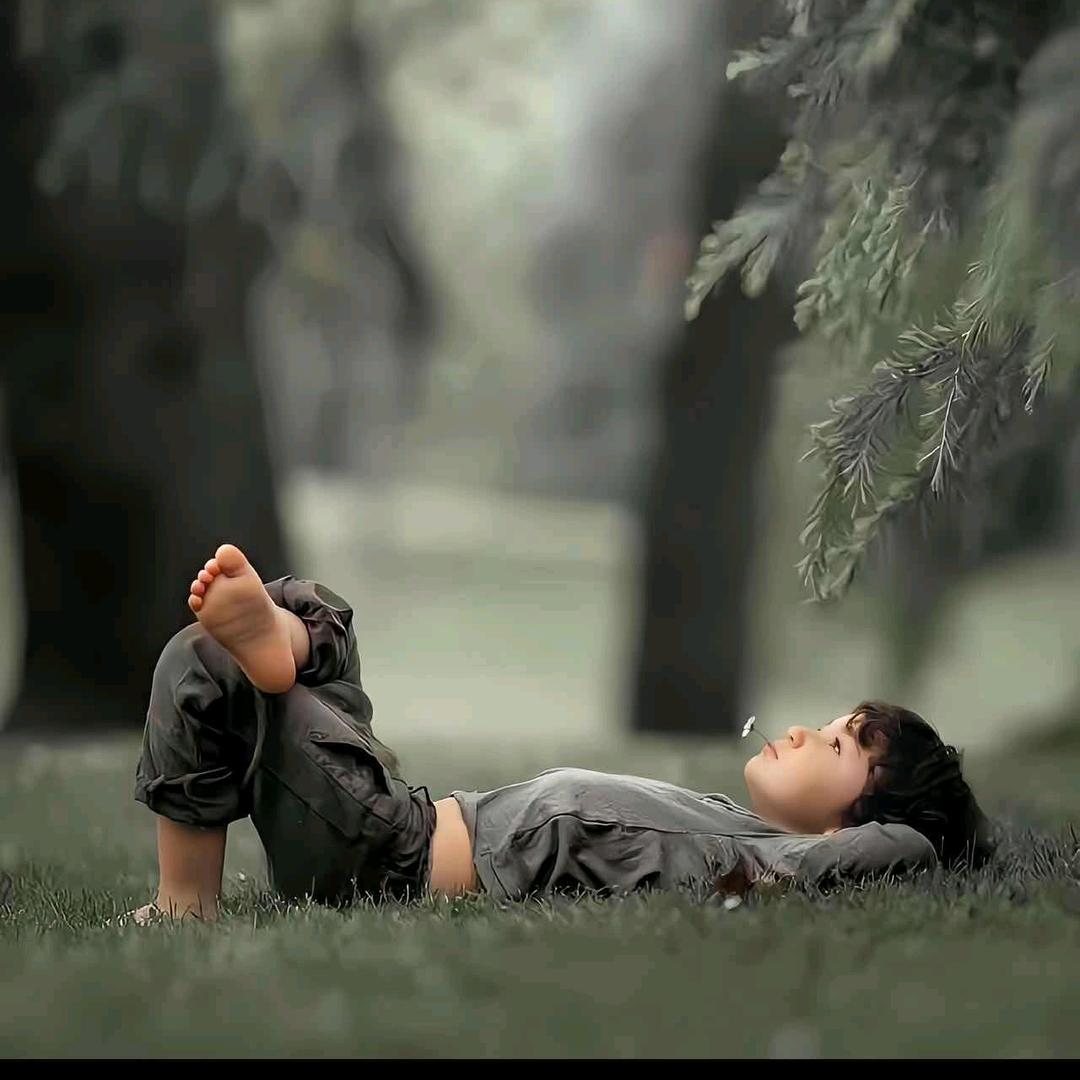 早睡早起身体好