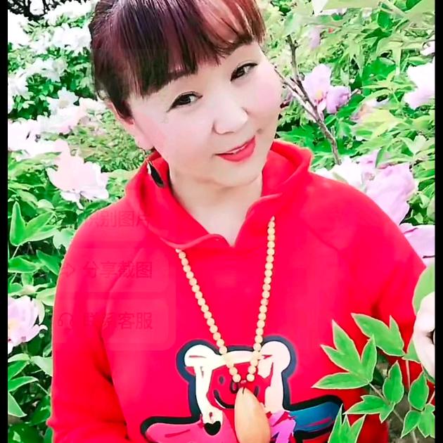 一帆风顺