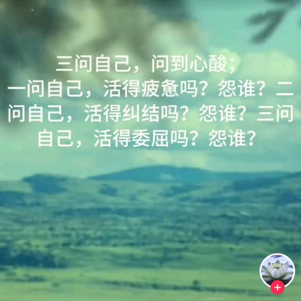 美洋洋爱美