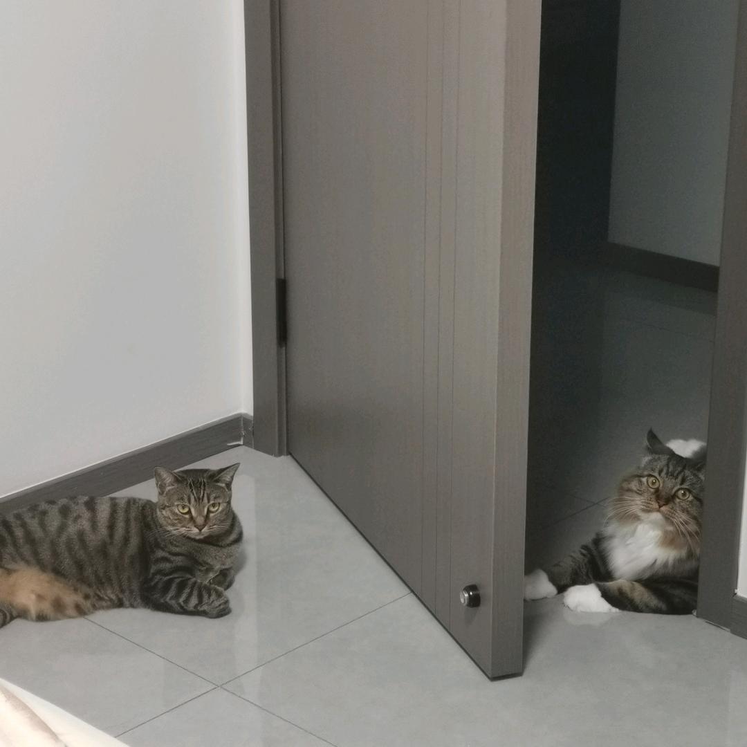 我爱学习，学习爱我