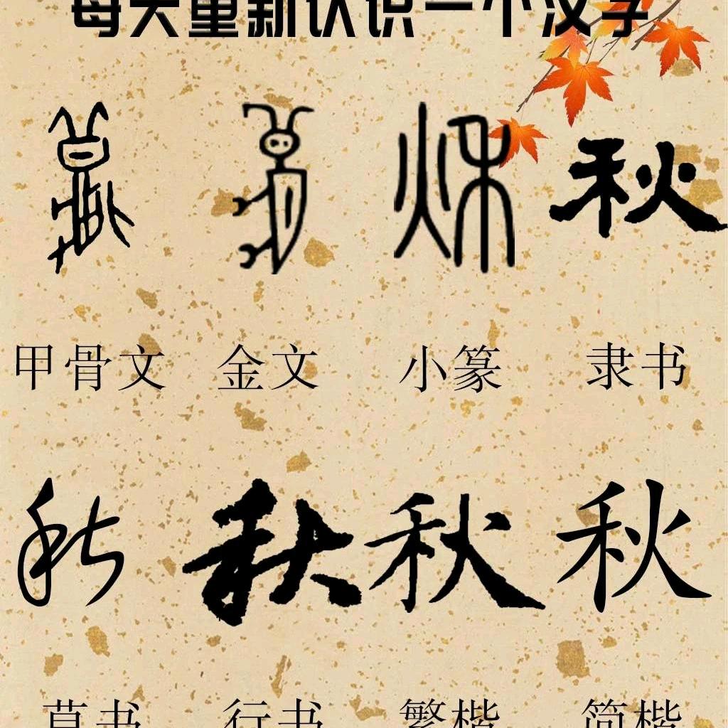 落叶知秋