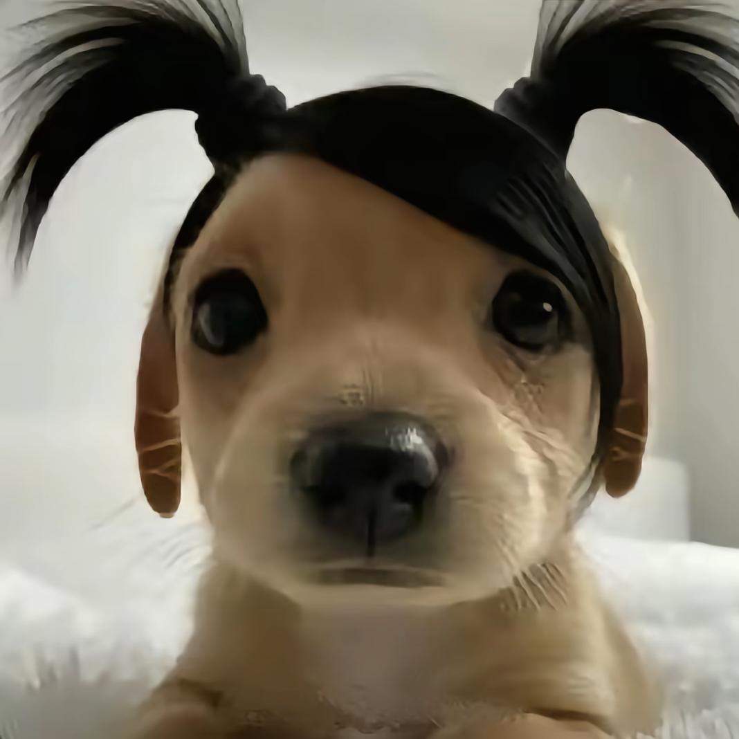 咋这样