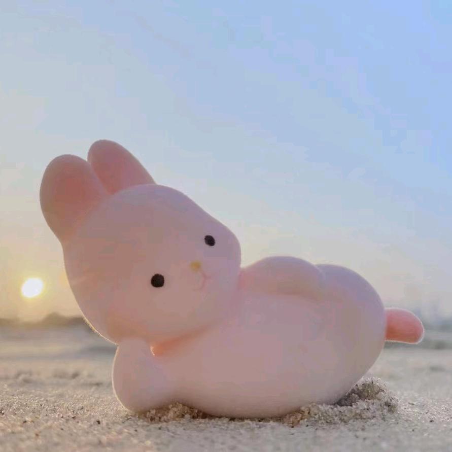 ～～胡女士～～