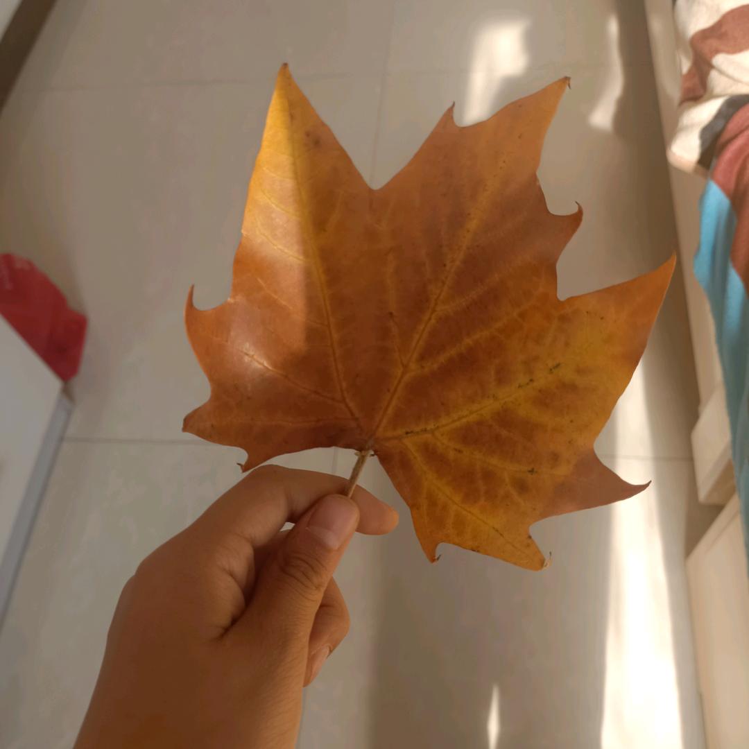 朵儿❤ (ɔˆз(ˆ⌣ˆc)