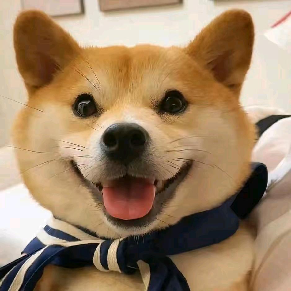 ，。