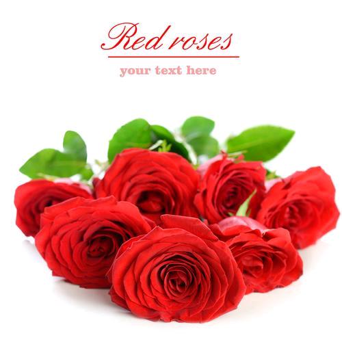 跟父一生平安🌹🌹🌹🌹🌹🌹🌹