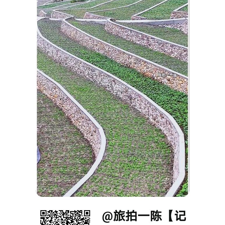 建康快乐