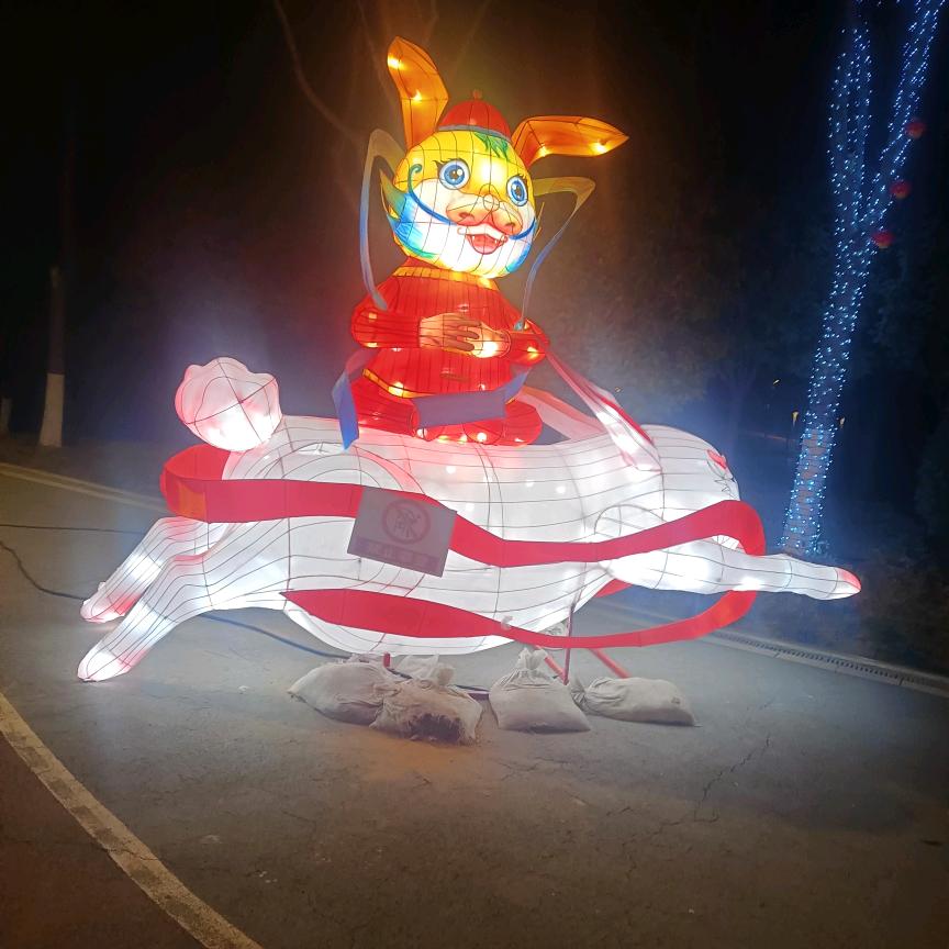 人生无悔，开心就好