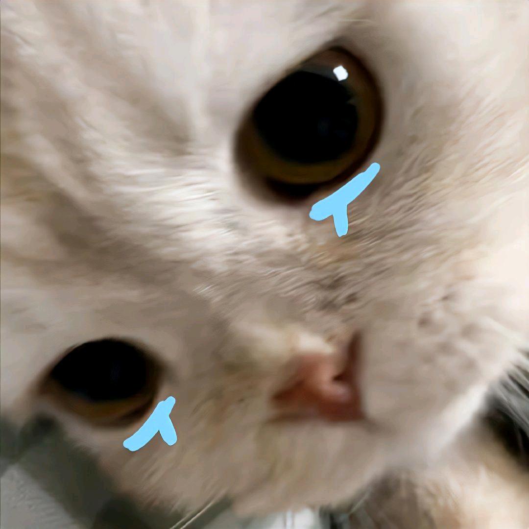 颜欣欣