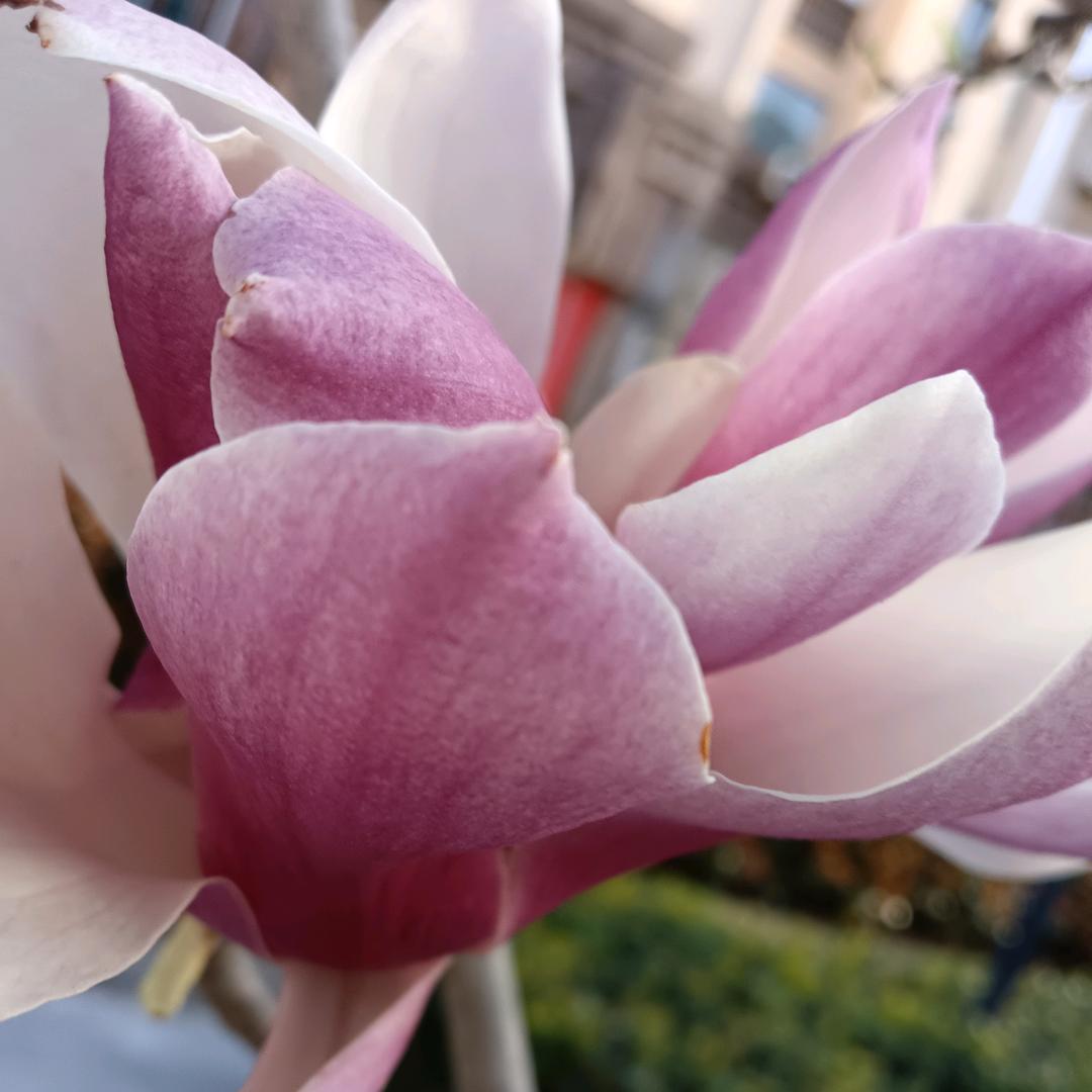 从新开始人生路