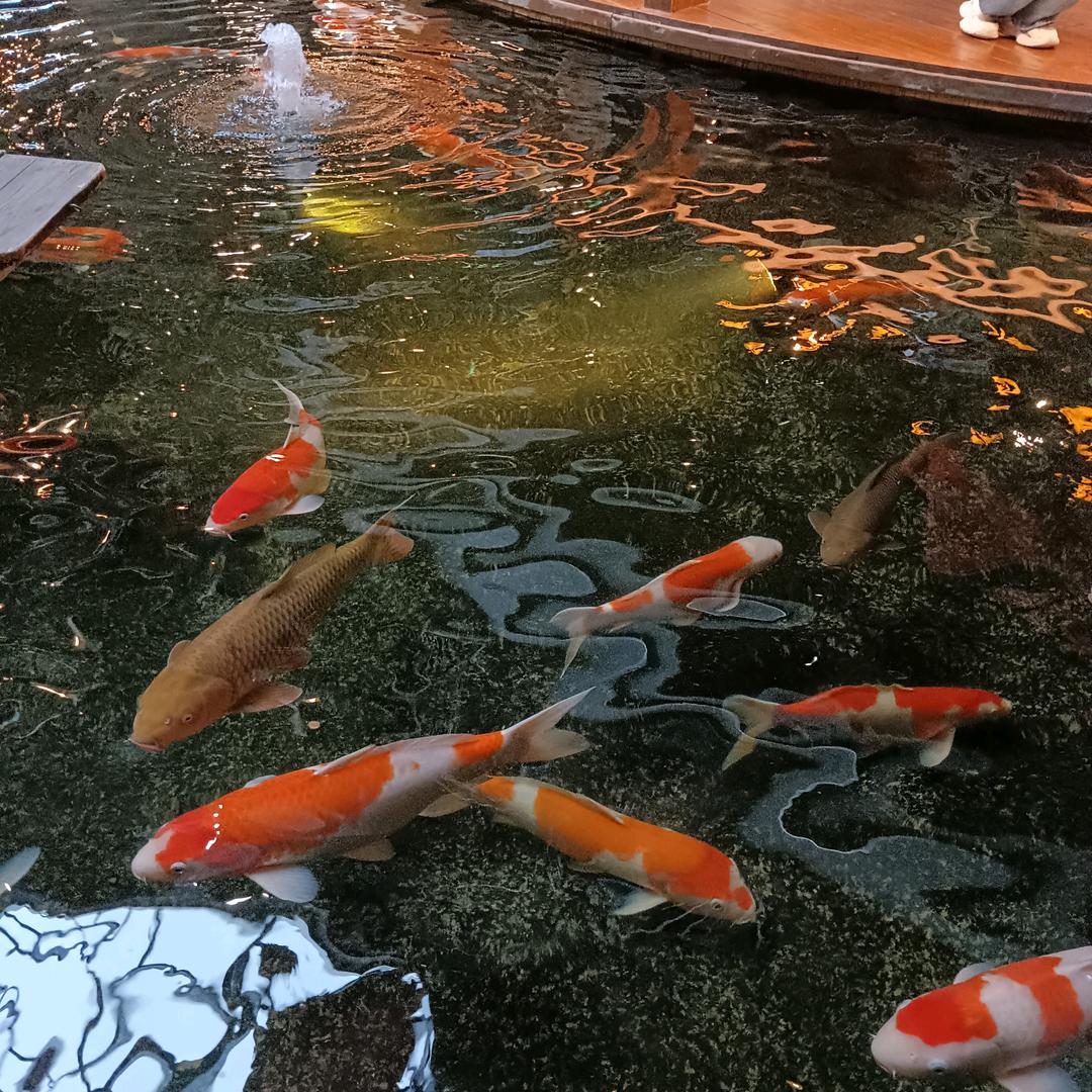 沉淀