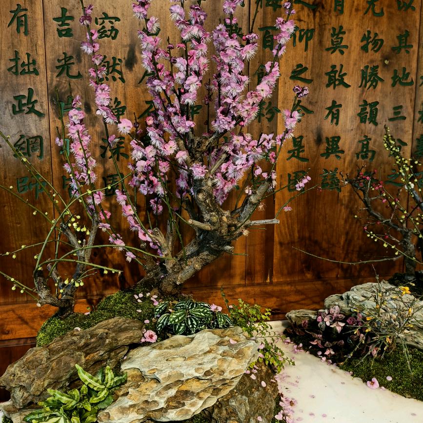 520----1314 ___￥￥￥￥￥