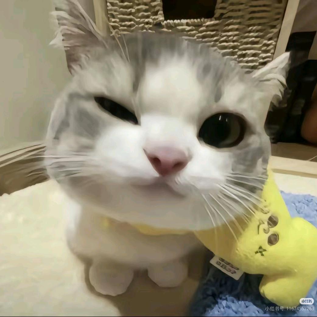 落日的余晖