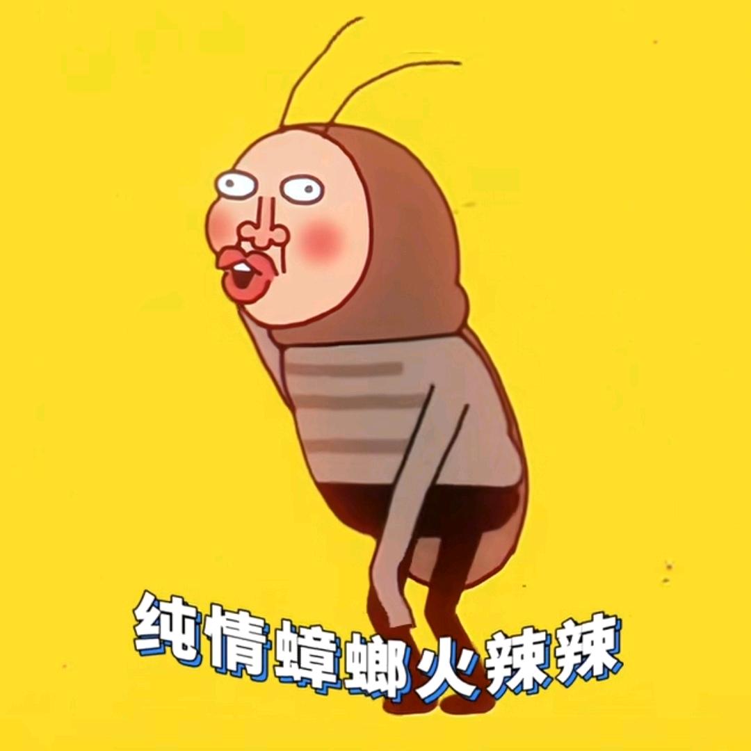 纯情蟑螂火辣辣