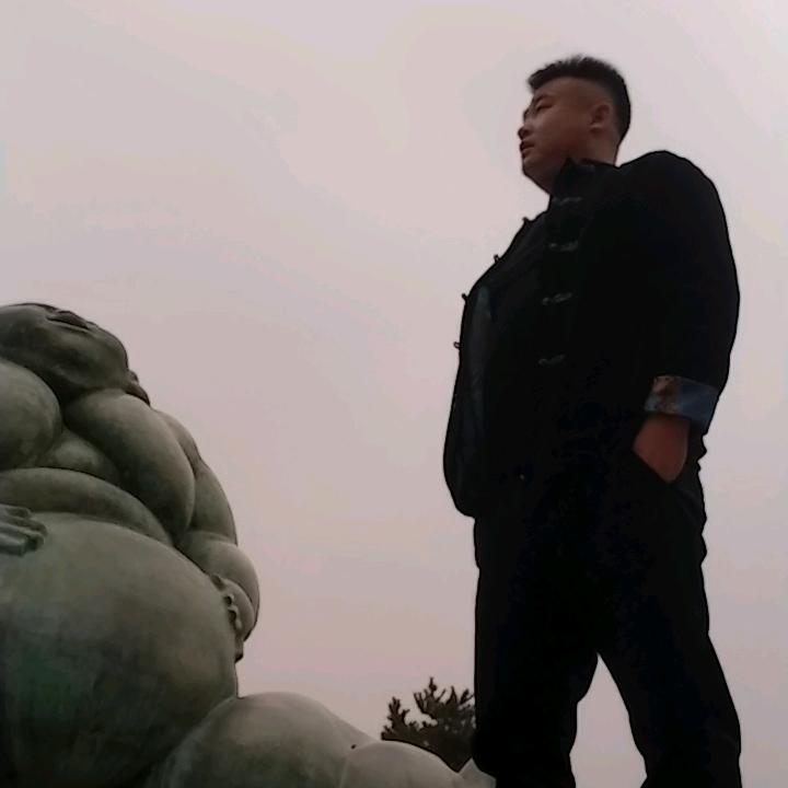 隆闯同学(若有战召必回)