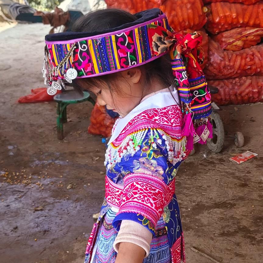 ₅²⁰苗家㊎平㊚¹³₁₄