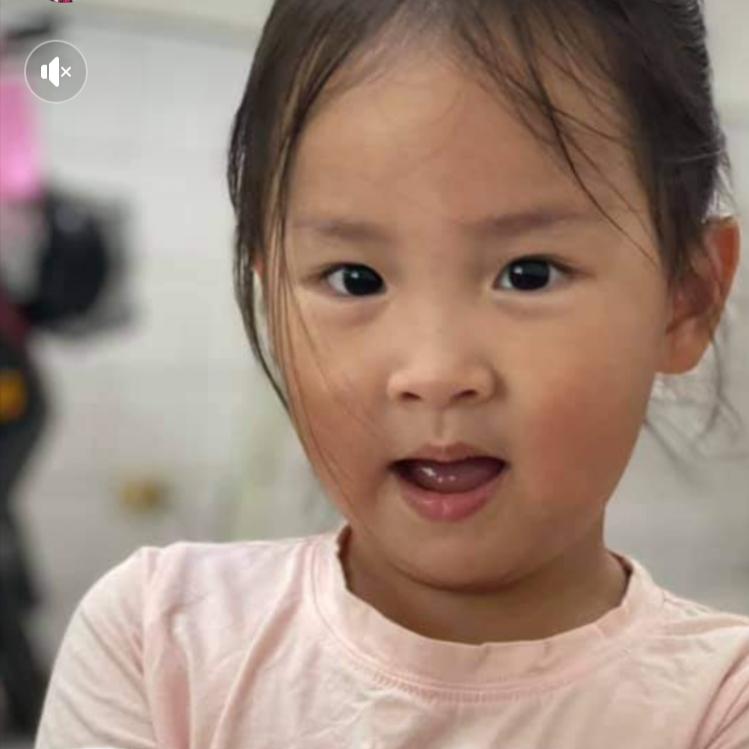 如露亦如电