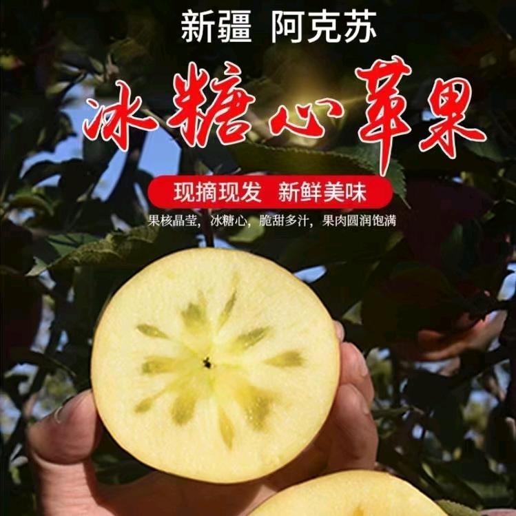 阿克苏晓晓农家果园