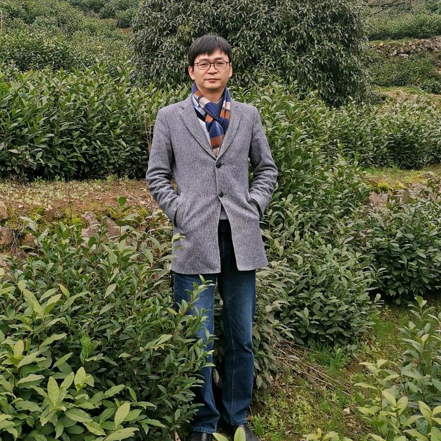 名典茶叶程刚(程龙鲁)