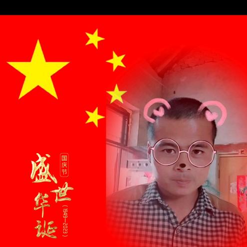 最熟悉的山茶花