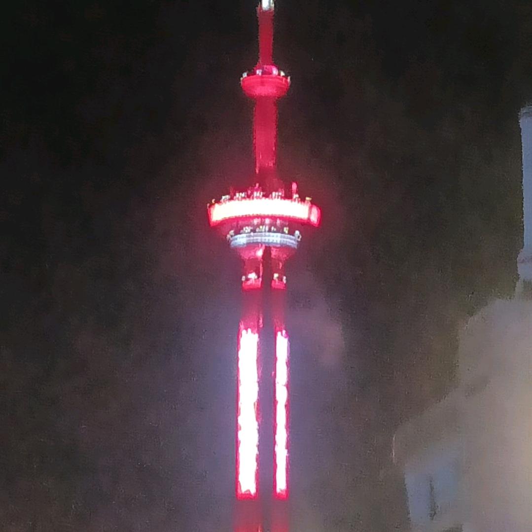 浙D豫Q