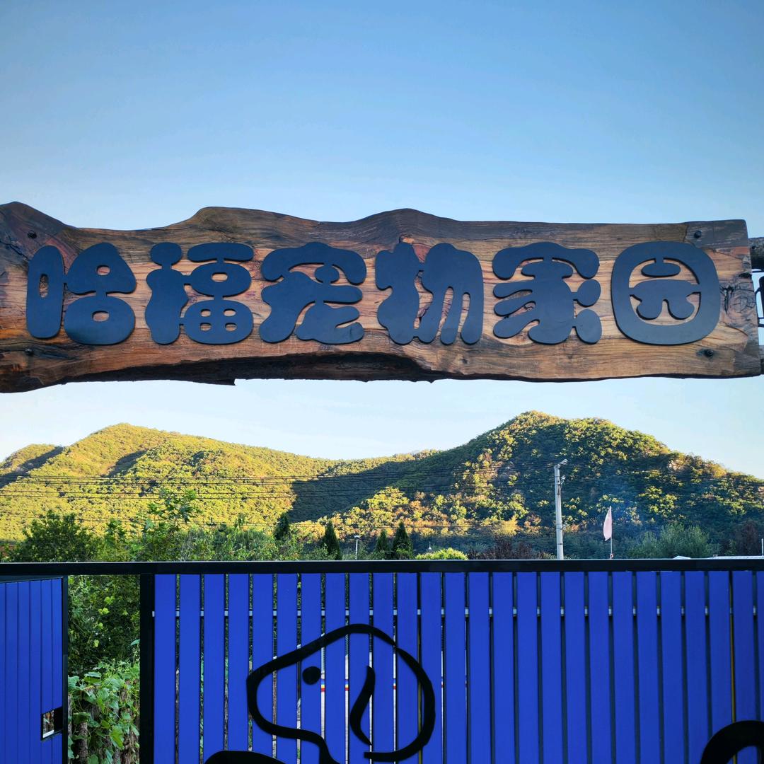 大连哈福宠物家园