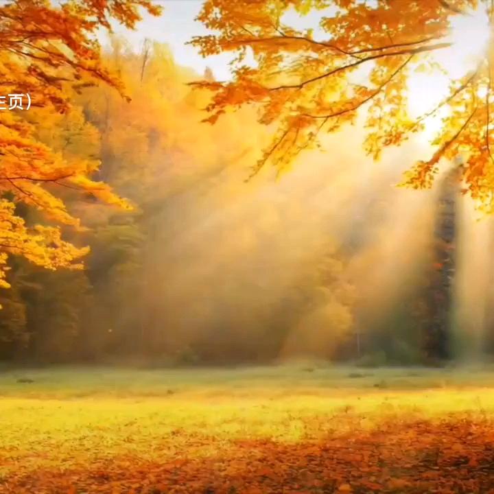 回眸，生活淡然了曾经！