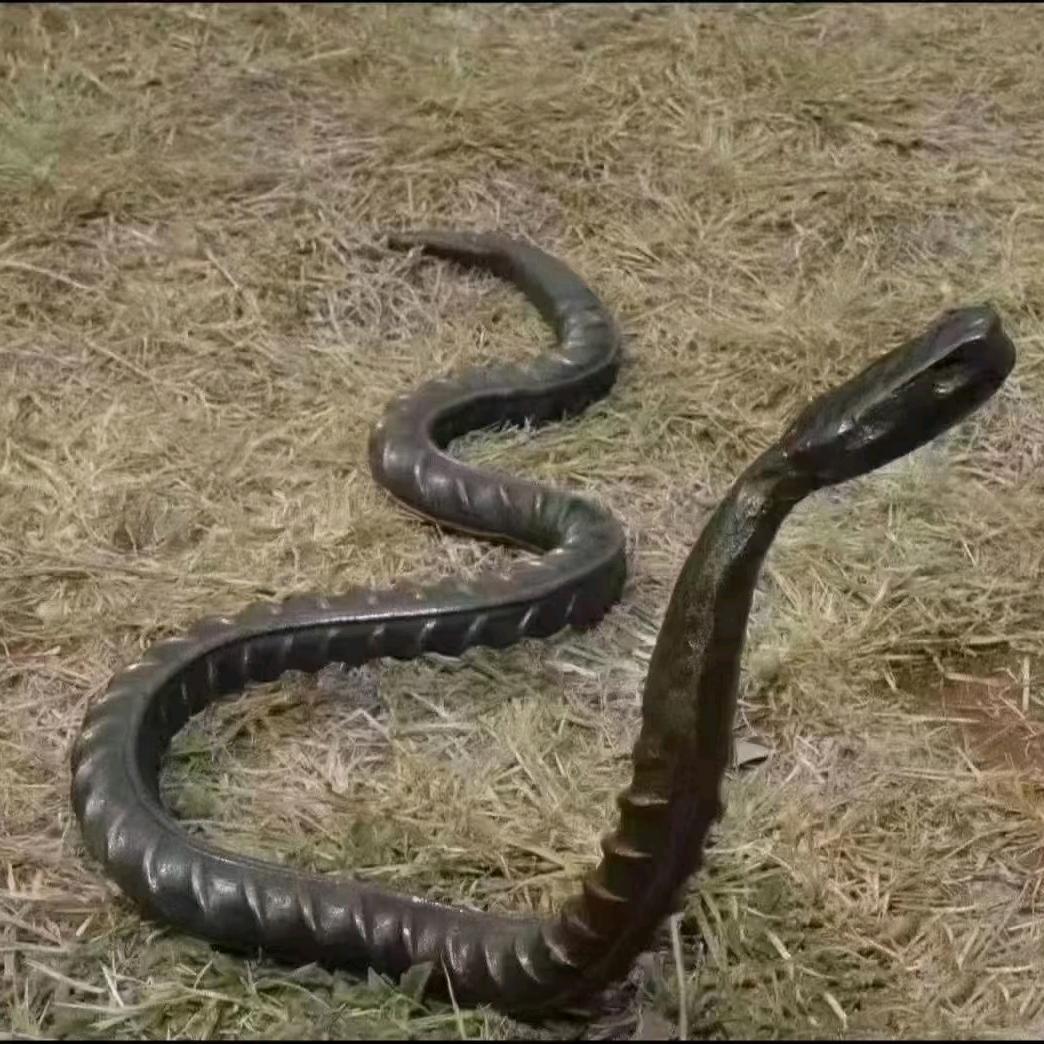 返农村创业养殖