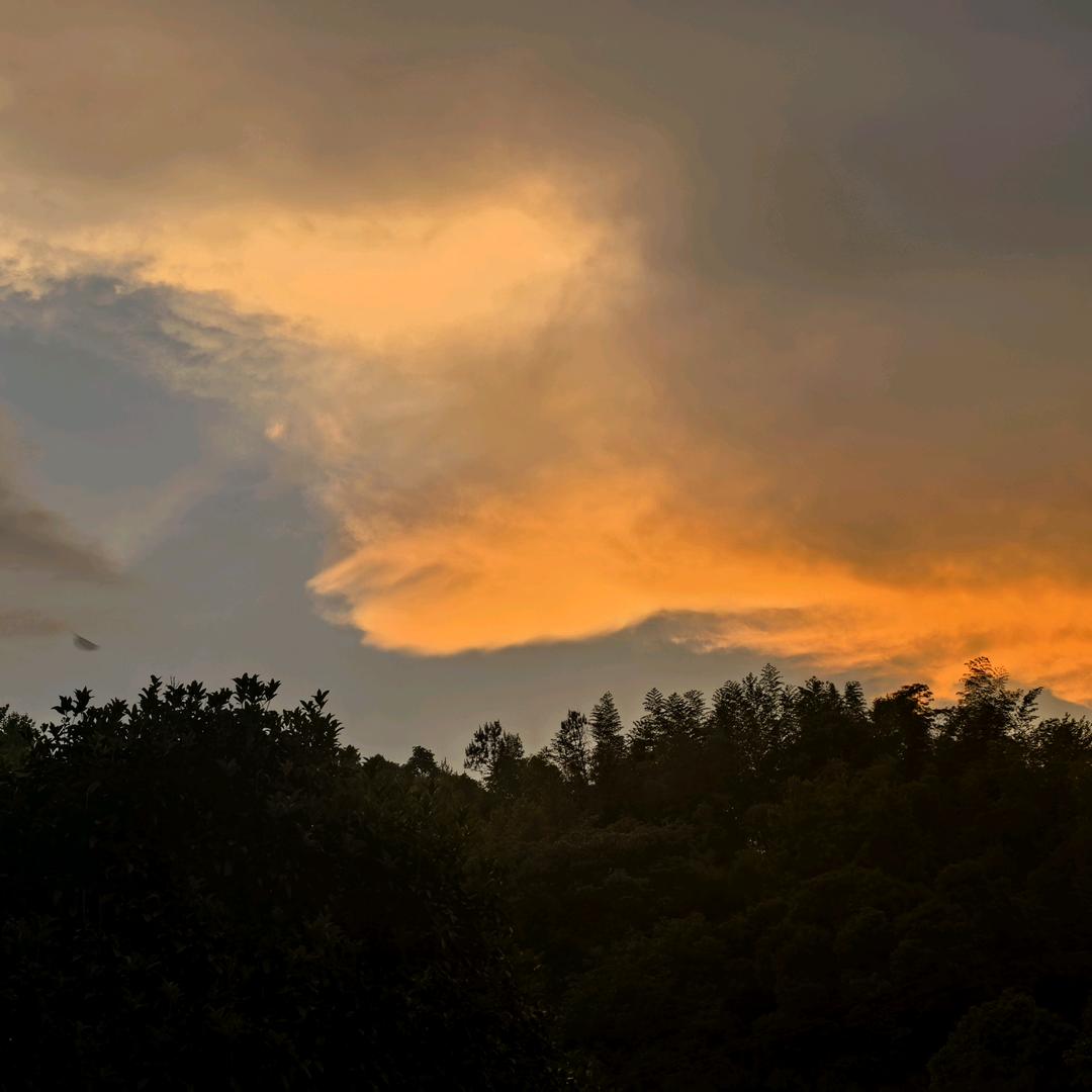 空。空