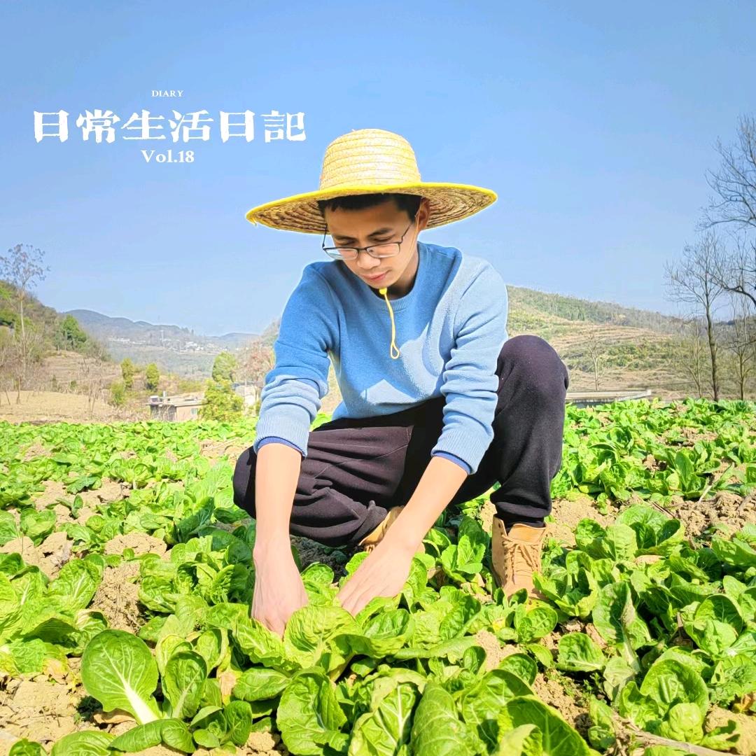 农乡石头