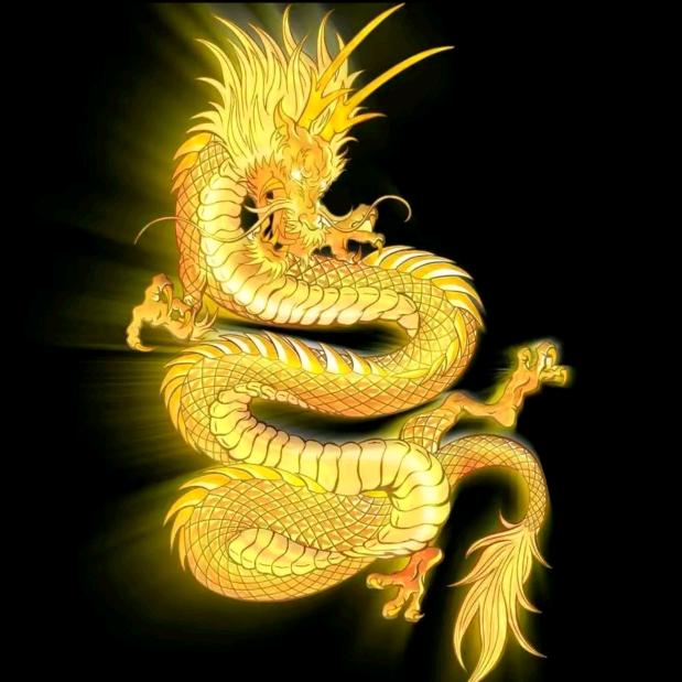 毛毛虫