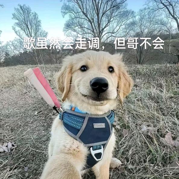 石圪节公社球头制造者胡德禄