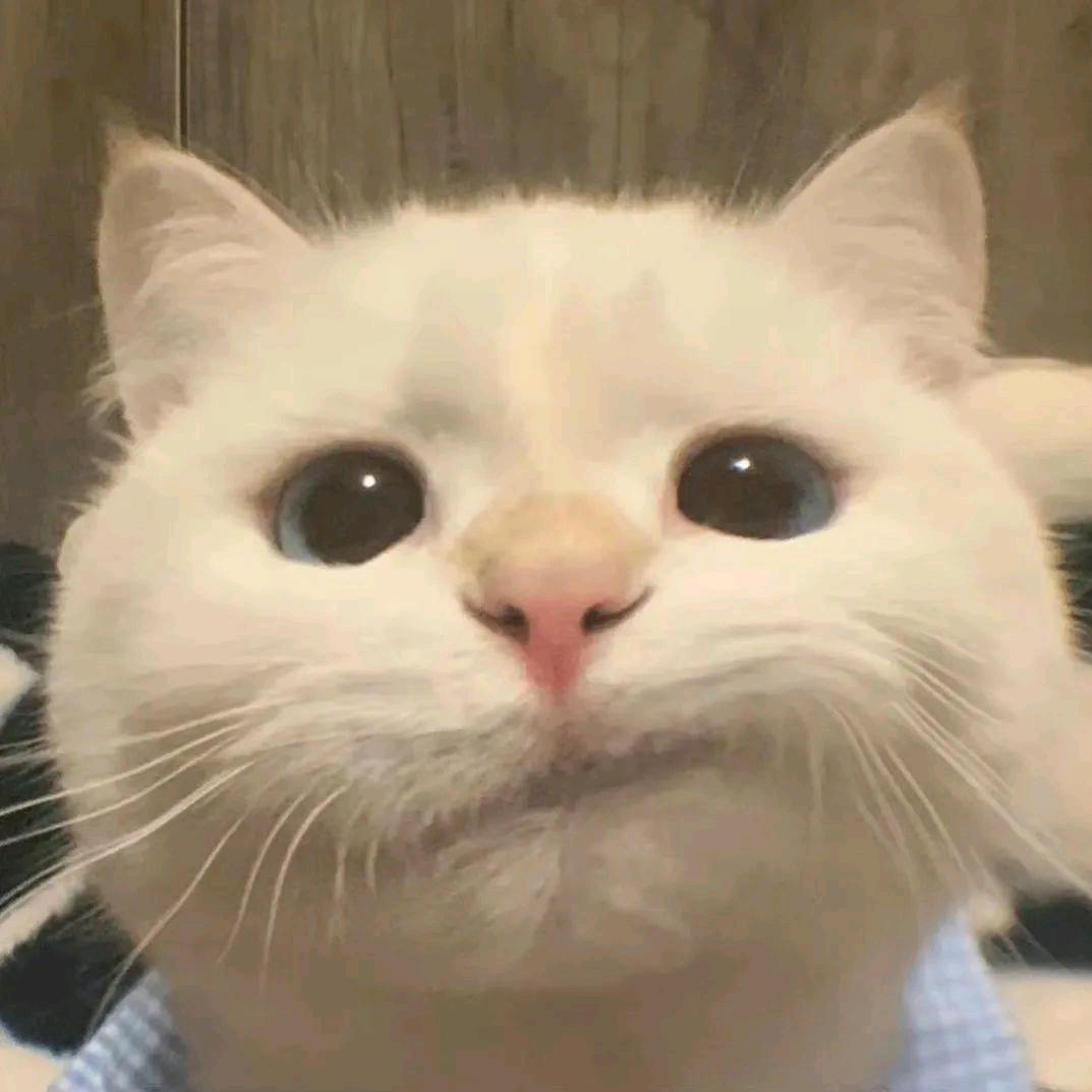 菠萝 诶~