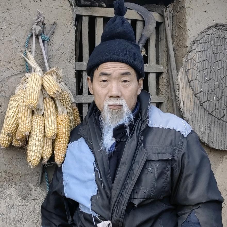 农村史哥