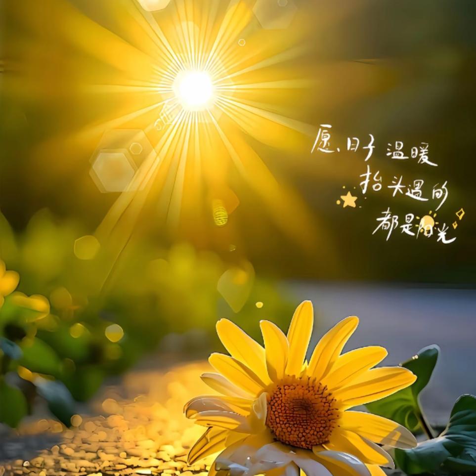静心