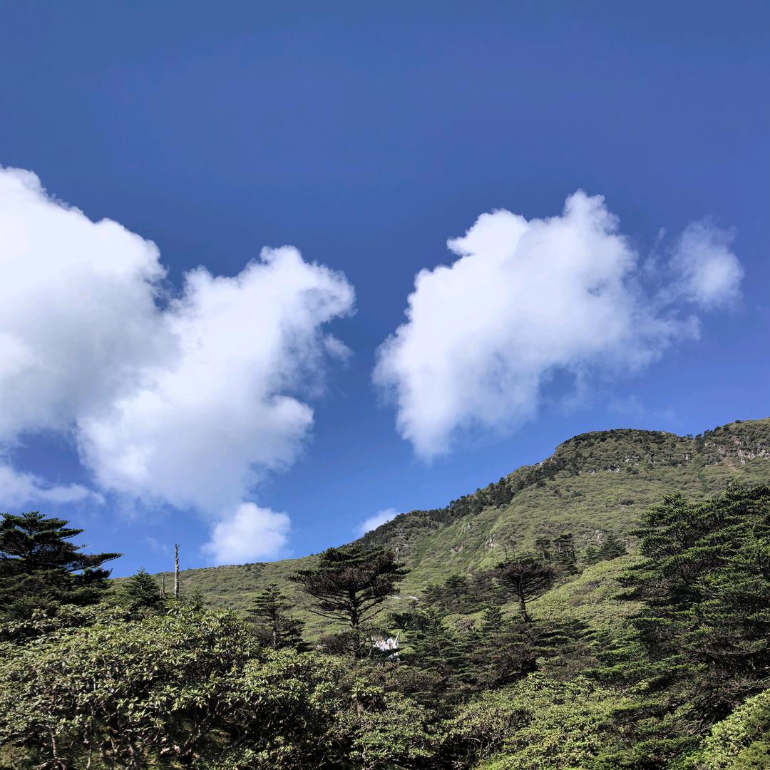 🐲黎明之城🐰