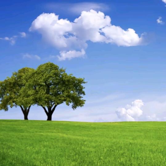 华姐（厦门寨内实体店）