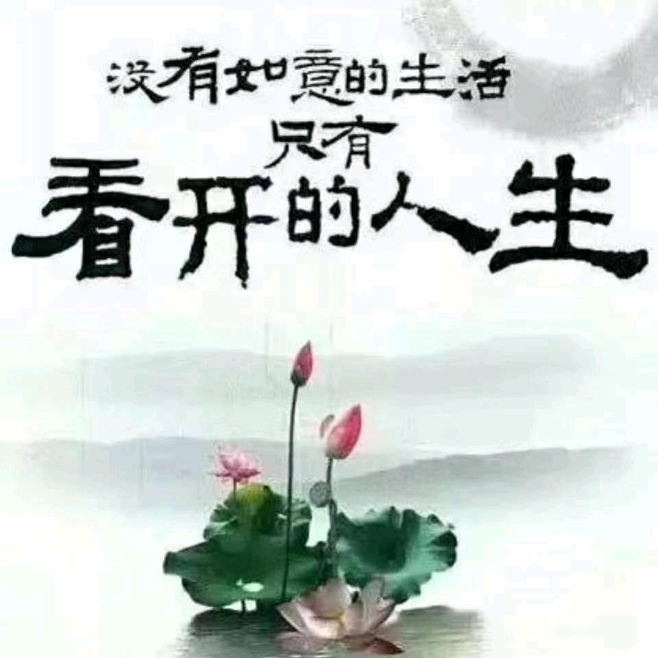 【单身兵哥哥】