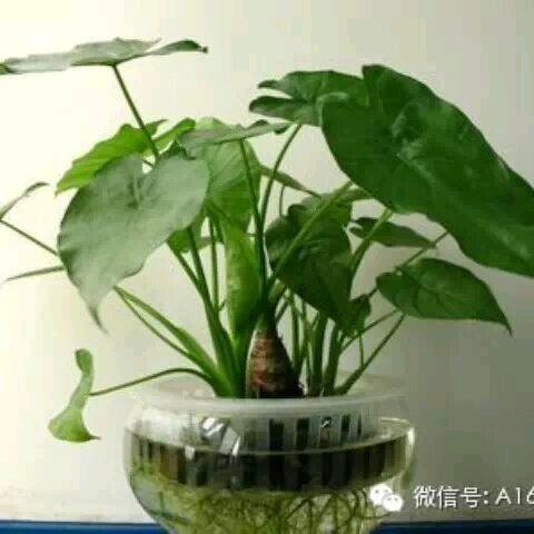 ～忆～