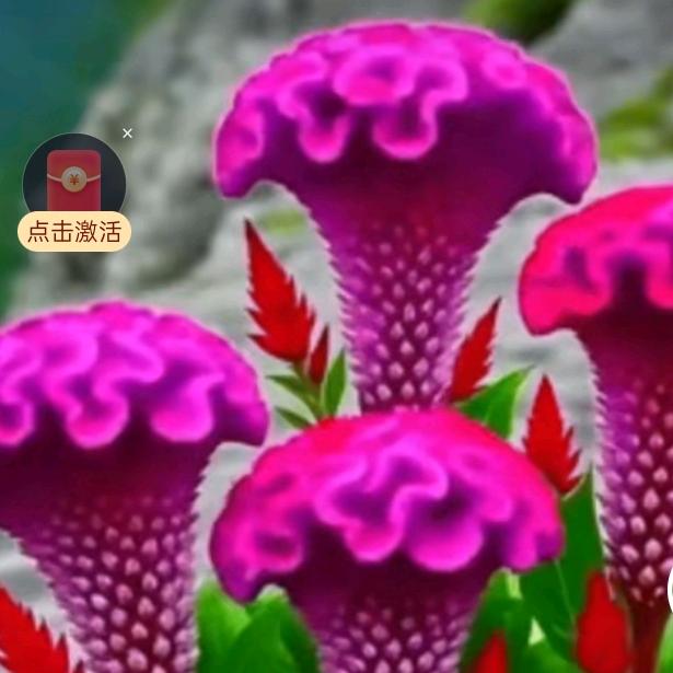 苦命人