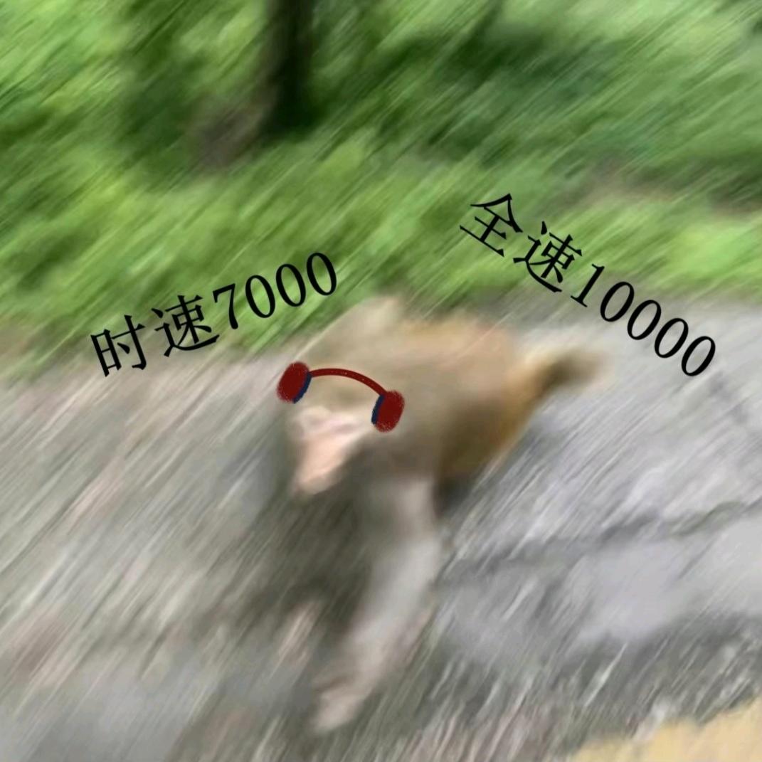 牧四诚的苦茶子我当铁观音泡三年